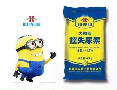 大顆?？厥蛩? border=